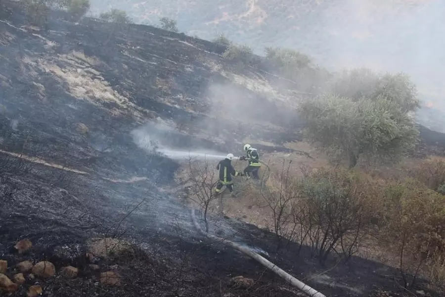 "الخوذ البيضاء" تبدي جاهزية عناصرها لإطفاء الحرائق بجميع مناطق سوريا بشرط ضمان سلامتهم