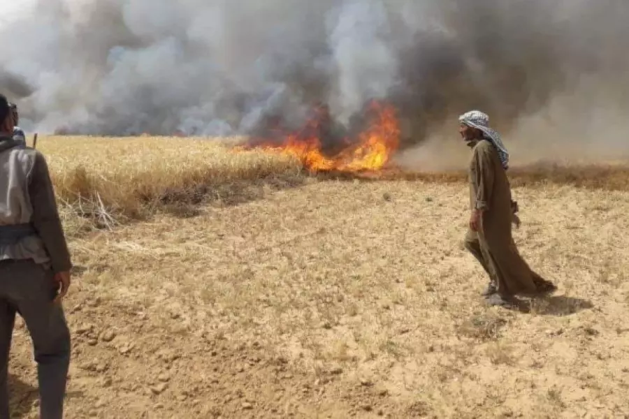 قمح الرقّة ومزارعيها بين نيران الحرائق وشروط ميليشيا "قسد" المجحفة