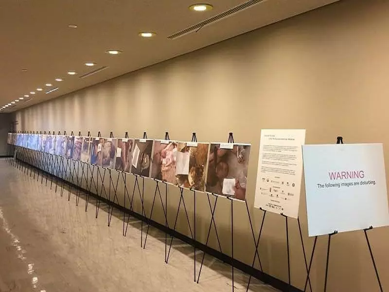 المرصد وخطأه القاتل بحق "المعتقلين"