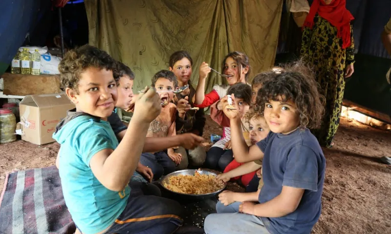 سوريا "مقلقة للغاية" ... 141 مليون شخص في الدول العربية معرضون لانعدام الأمن الغذائي