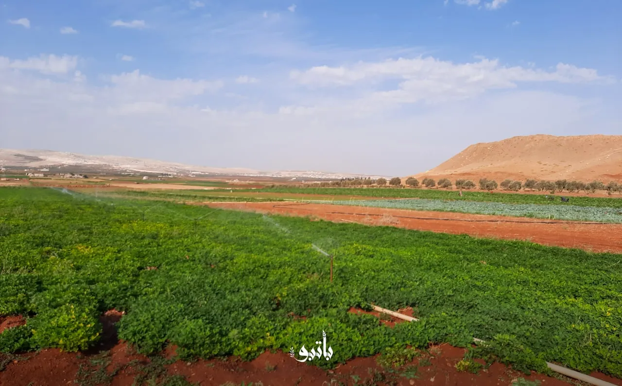 نشرة حصاد يوم الجمعة لجميع الأحداث الميدانية والعسكرية في سوريا 07-10-2022