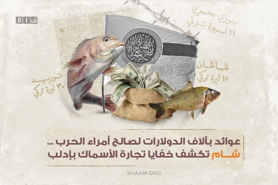 عوائد بآلاف الدولارات لصالح أمراء الحرب ... "شام" تكشف خفايا تجارة الأسماك بإدلب