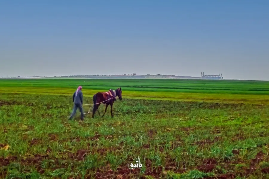 نشرة حصاد يوم الأربعاء لجميع الأحداث الميدانية والعسكرية في سوريا 23-03-2022