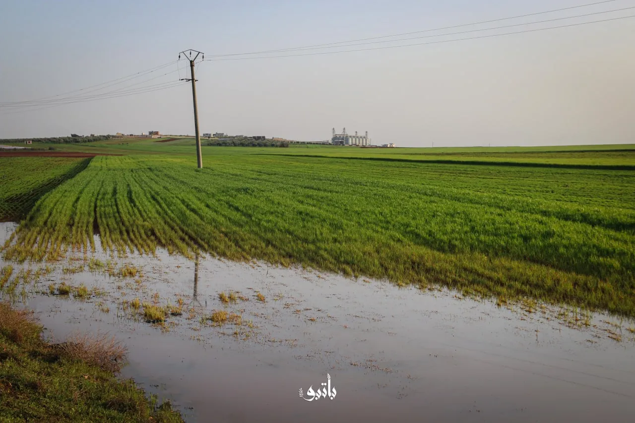 نشرة حصاد يوم الأربعاء لجميع الأحداث الميدانية والعسكرية في سوريا 06-04-2022