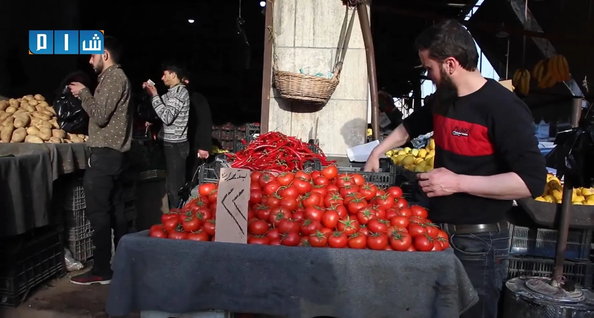 منسقو الاستجابة ينقل أحدث التقارير الأممية حول واقع الأمن الغذائي في سوريا