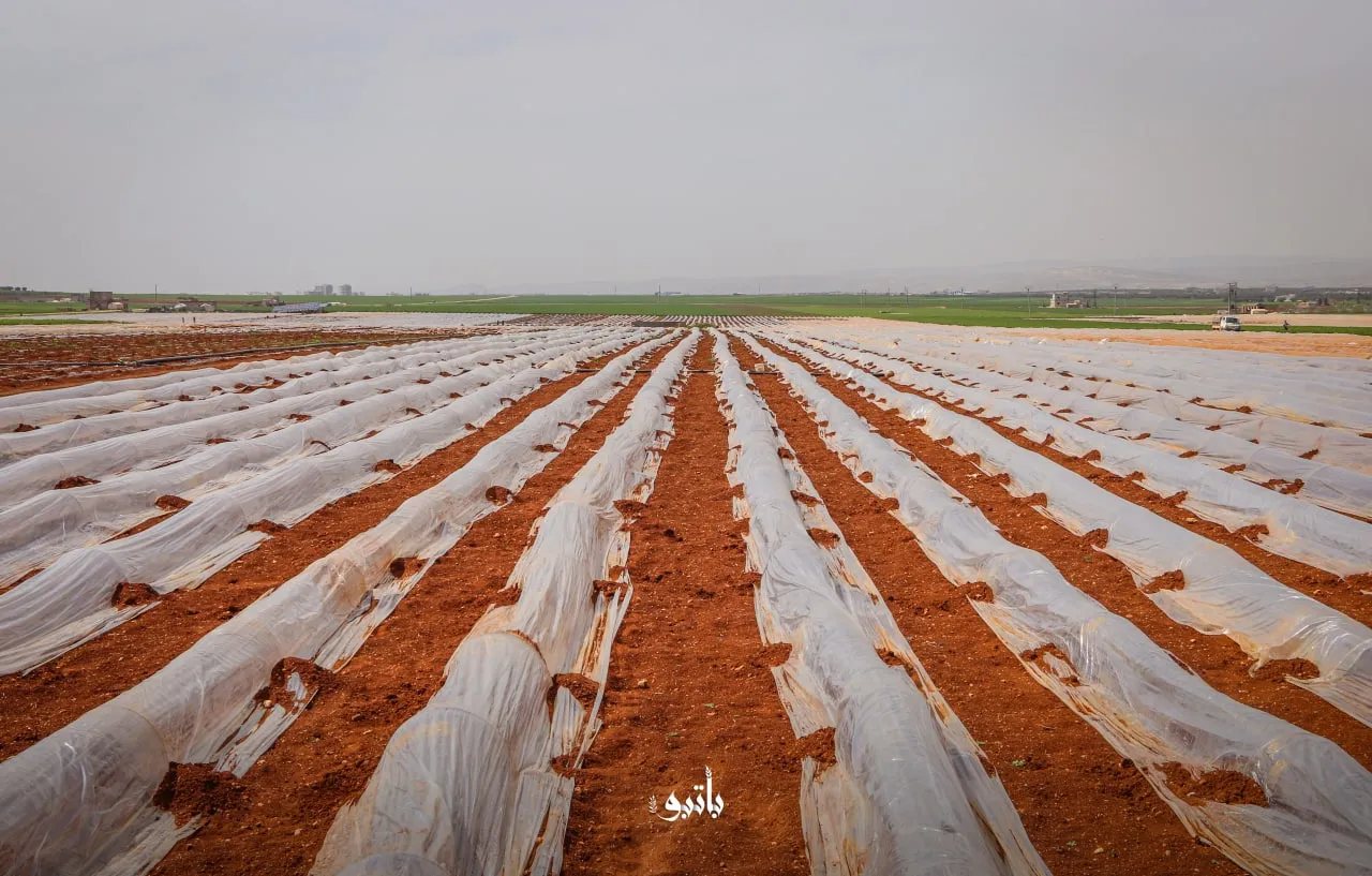 حصاد الأحداث الميدانية ليوم الأحد 10-04-2022