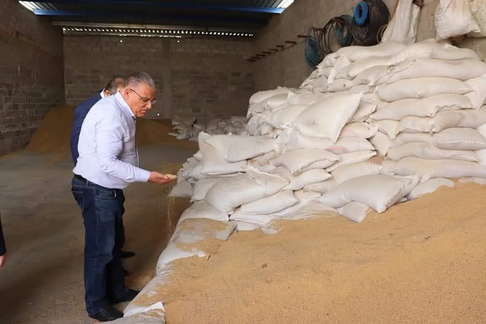 زعم أنها "متوفرة وكافية" .. النظام ينفي دراسة تخفيض استهلاك مادة القمح