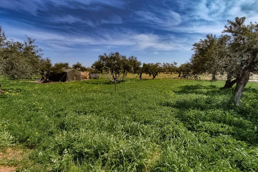 حصاد الأحداث الميدانية ليوم السبت 16-04-2022