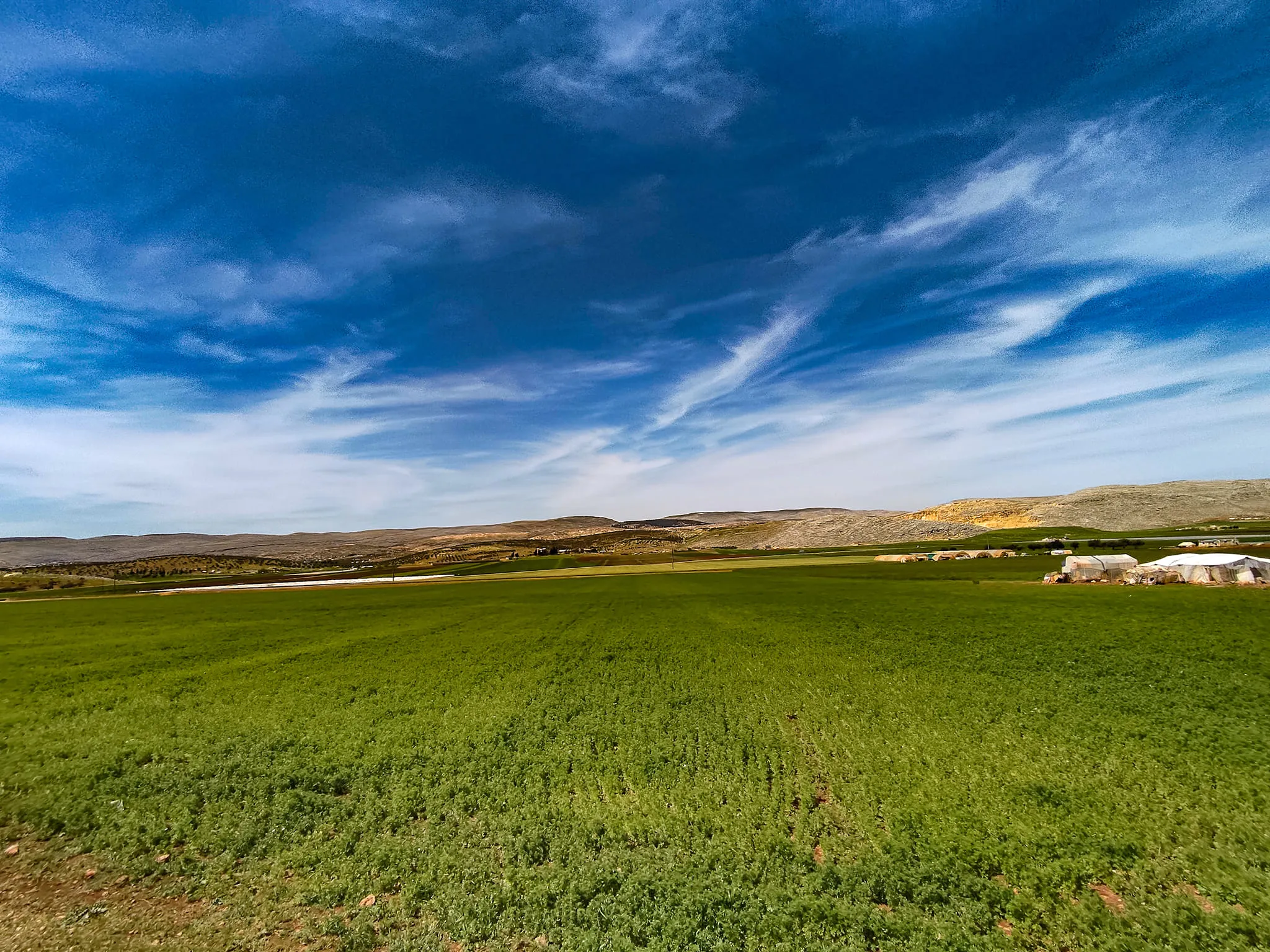 حصاد الأحداث الميدانية ليوم الأحد 17-04-2022