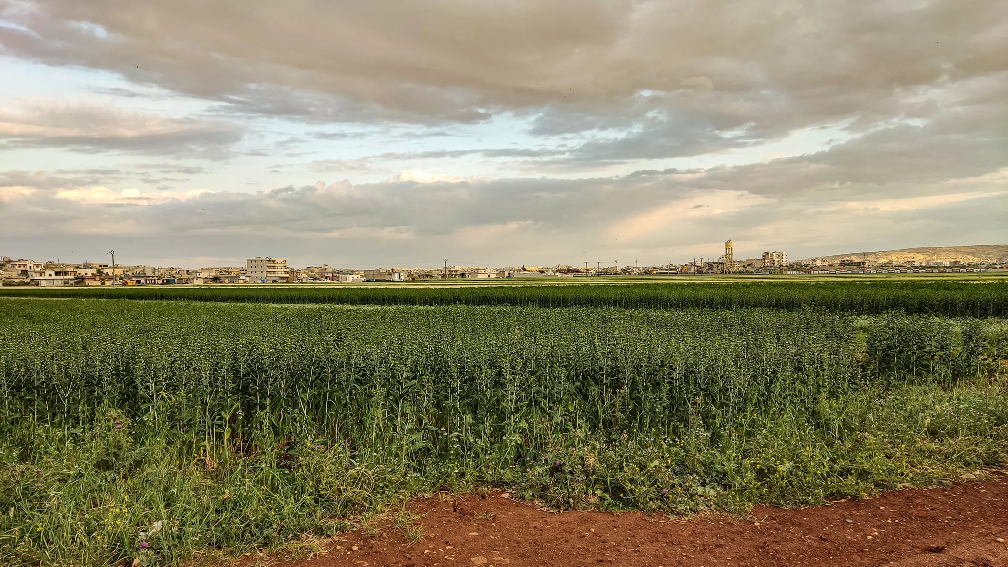 نشرة حصاد يوم الجمعة لجميع الأحداث الميدانية والعسكرية في سوريا 06 -05-2022