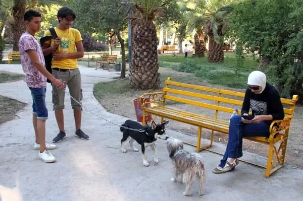 برسوم محددة مسبقاً .. النظام يعلن بدء تنفيذ آلية تسجيل الكلاب الخاصة بدمشق