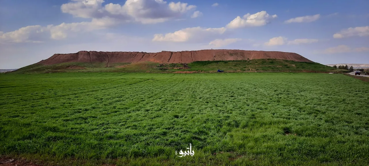 نشرة حصاد يوم الأحد لجميع الأحداث الميدانية والعسكرية في سوريا 08 -05-2022