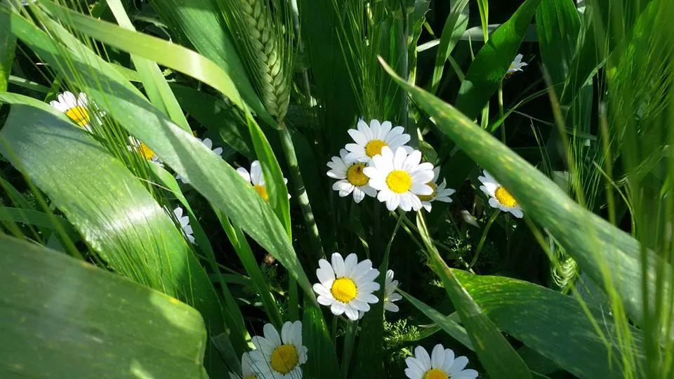 حصاد الأحداث الميدانية ليوم الثلاثاء 10-05-2022