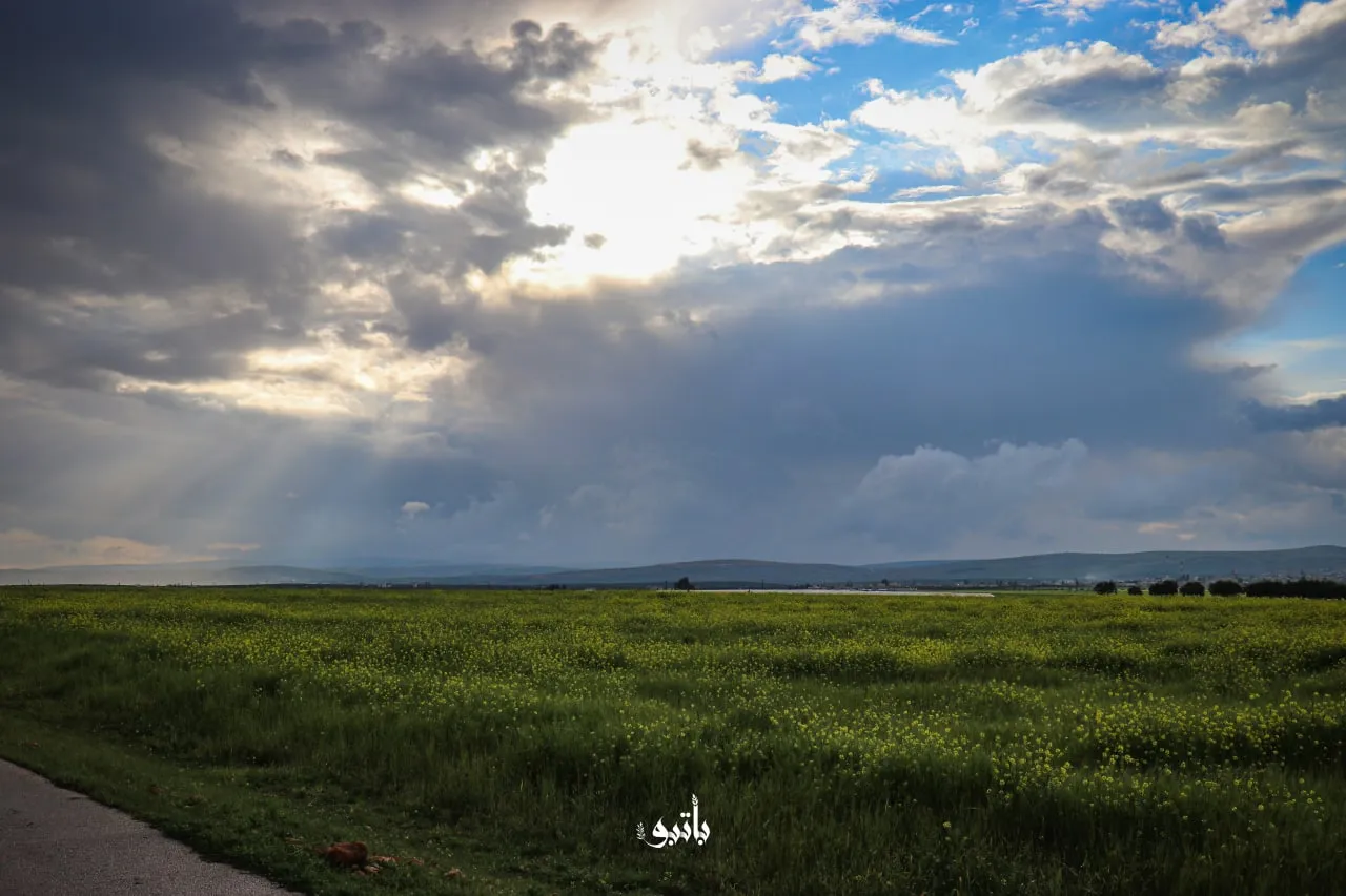 نشرة حصاد يوم الأربعاء لجميع الأحداث الميدانية والعسكرية في سوريا 18 -05-2022