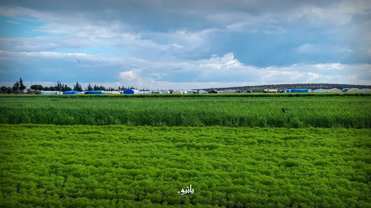 نشرة حصاد يوم الخميس لجميع الأحداث الميدانية والعسكرية في سوريا 19 -05-2022