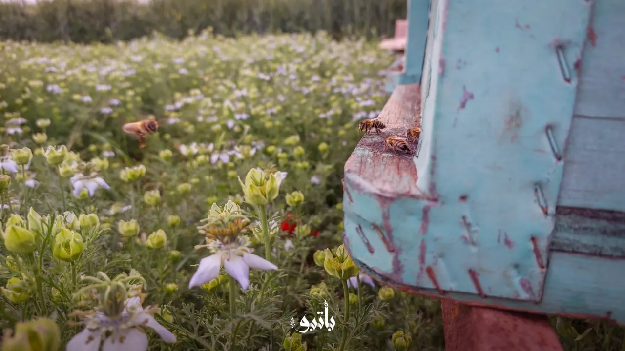 حصاد الأحداث الميدانية ليوم السبت 28-05-2022