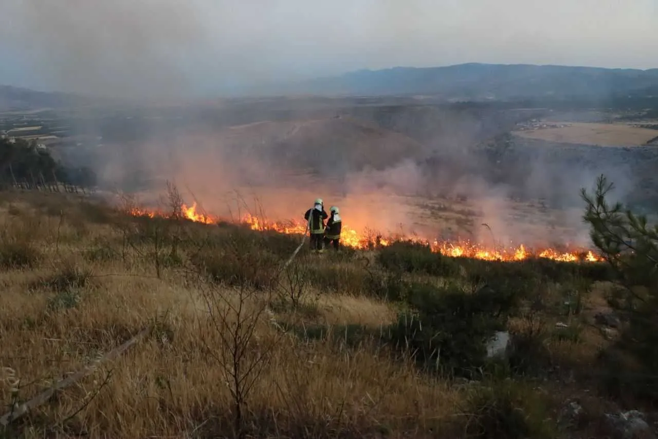 "الخوذ البيضاء" تسجل ارتفاع عدد الحرائق في المحاصيل الزراعية شمال غرب سوريا