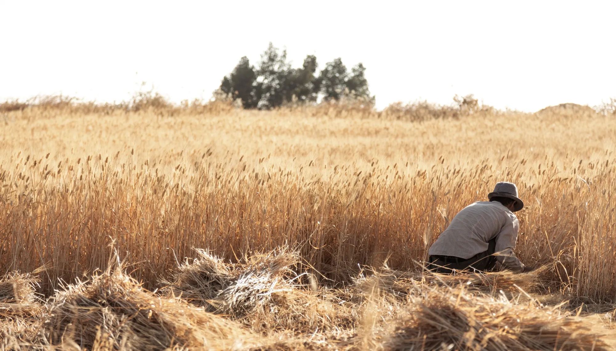 لغم أرضي يوقع مجزرة في ريف درعا