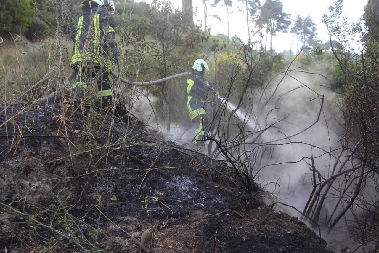 حصاد الأحداث الميدانية ليوم الأحد 12-06-2022