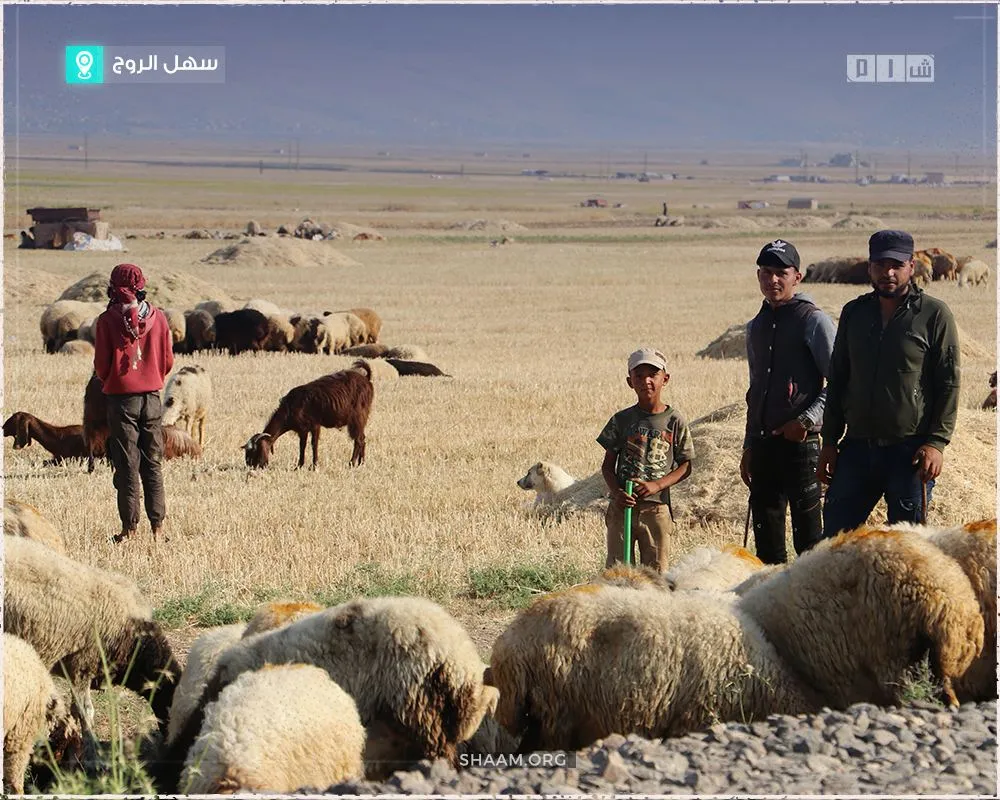 حصاد الأحداث الميدانية ليوم الاثنين 13-06-2022