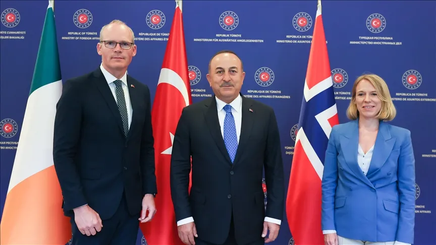 "أيرلندا" تطالب مجلس الأمن بتمديد قرار إيصال المساعدات الإنسانية إلى سوريا