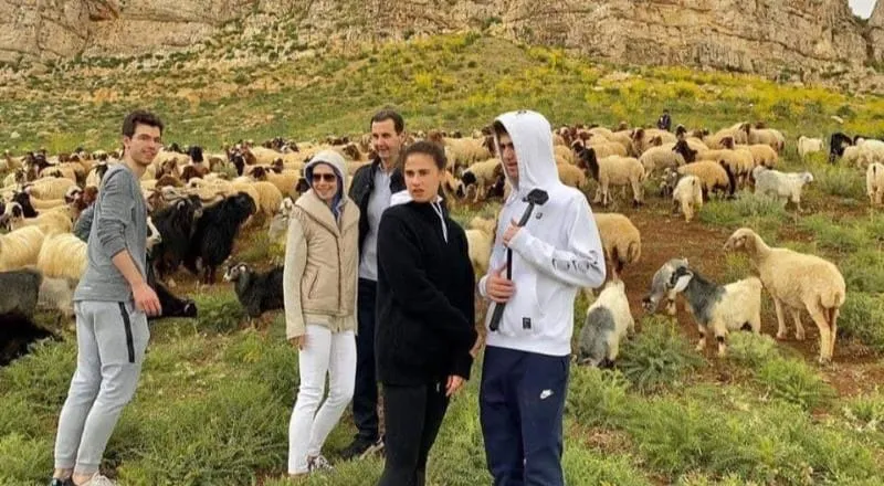 لـ "توزيع المقنن العلفي" .. النظام يعتزم تركيب "شريحة إلكترونية" للمواشي 