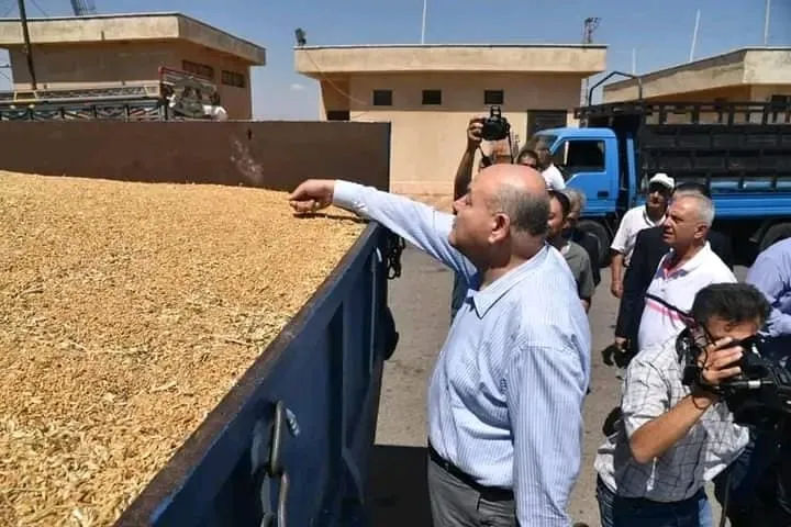 "سالم": تسليم القمح يتم بكل يسر .. صحفي موالي يهاجم الأرقام كارثية وتكرر فشل "عام القمح"