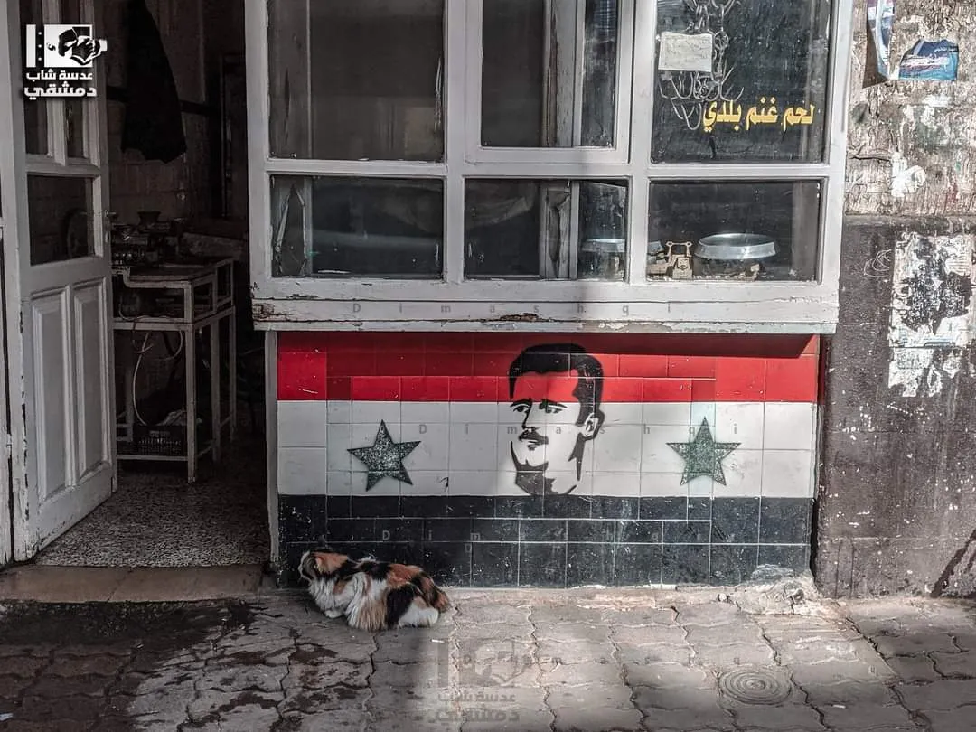 النظام يرفع أسعار اللحوم .. مسؤول يبرر بـ "زيادة التكاليف والتهريب"