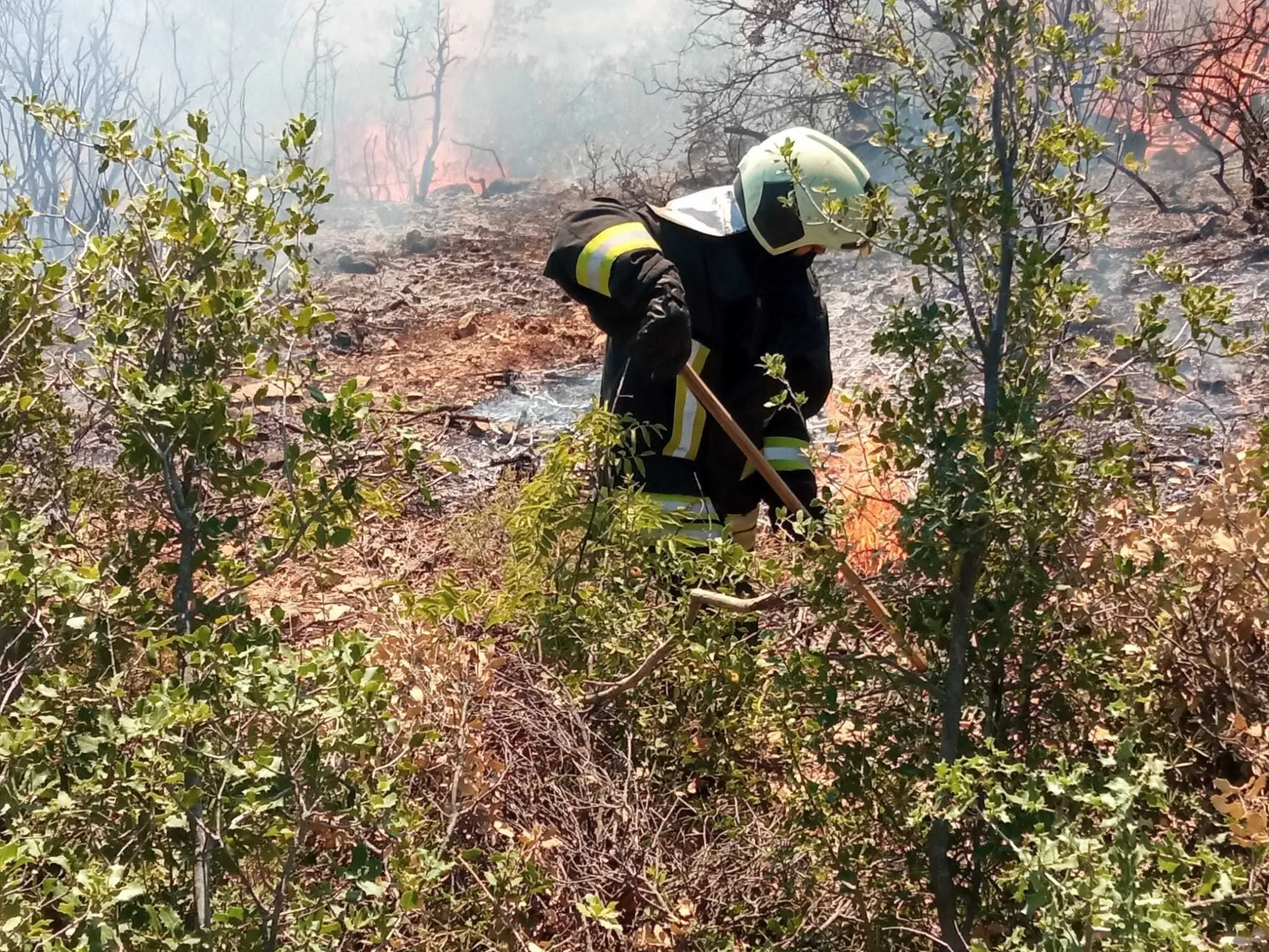 حصاد الأحداث الميدانية ليوم الخميس 14-07-2022