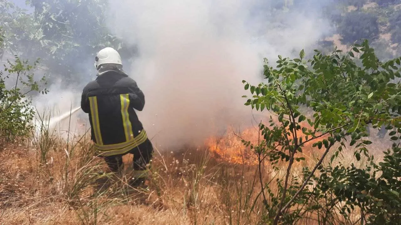 حصاد الأحداث الميدانية ليوم الأربعاء 20-07-2022