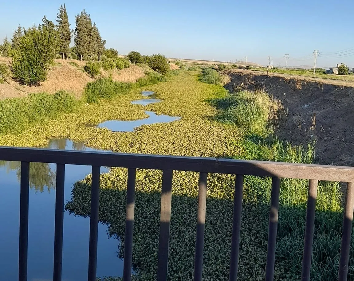 مع تجاهل النظام .. كارثة بيئية عقب تشغيل معمل سكر "تل سلحب" بريف حماة