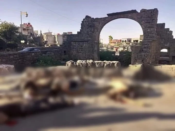 السويداء: إعدام عناصر من عصابة "فلحوط" قرب دوار المشنقة