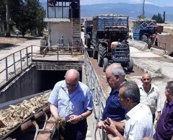 ارتفاع سعر السكر.. مدير معمل سلحب ينفي التلوث : "مجهولون" يحاربونا