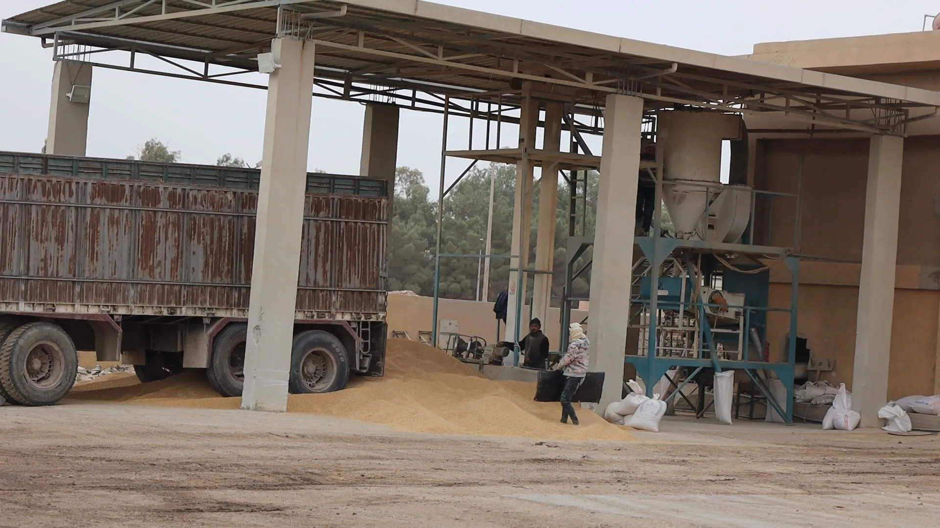 "الإدارة الذاتية" تقر بوجود عجز في تحقيق الاكتفاء الذاتي من القمح المطلوب للعام المقبل