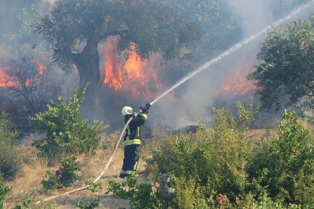 حصاد الأحداث الميدانية ليوم الاثنين 01-08-2022