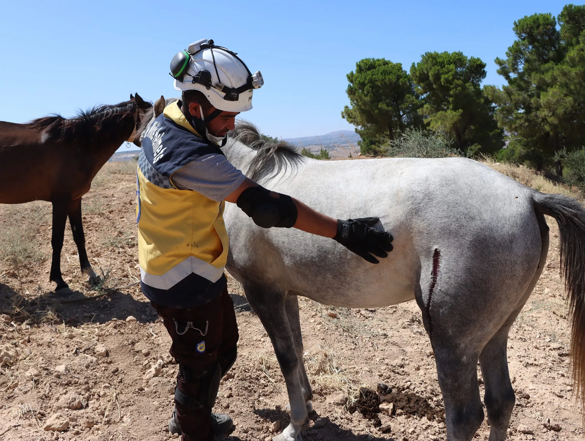 قوات الأسد تعاود استخدام الصواريخ العنقودية بقصف ريف إدلب