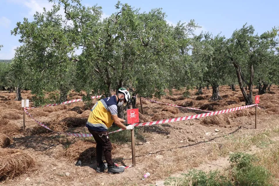 قدمت إحصائيات عملها.. "الخوذ البيضاء" تُشارك في تقرير دولي لـ "مرصد الذخائر العنقودية"