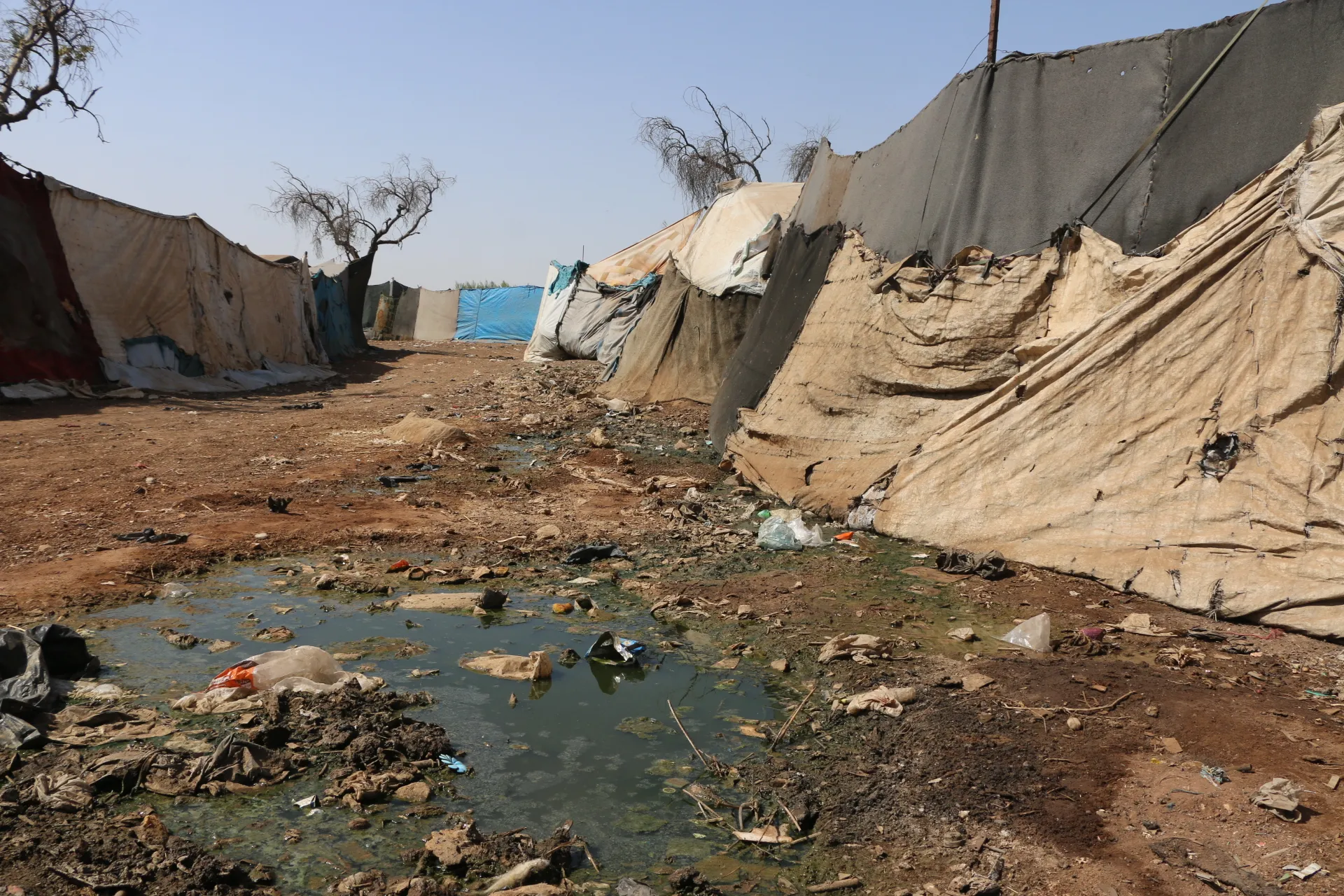 "استجابة سوريا" يُناشد الأمم المتحدة لتسريع إجراءات مكافحة "الكوليرا" في المخيمات