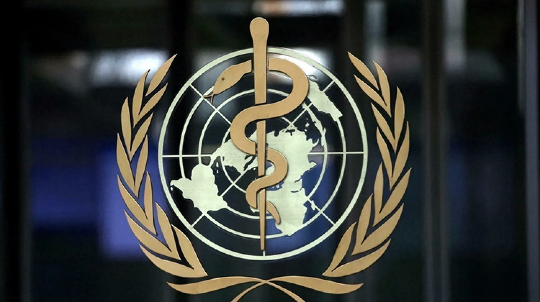 "الصحة العالمية" تُحذر من خطورة انتشار "الكوليرا" في عموم مناطق سوريا