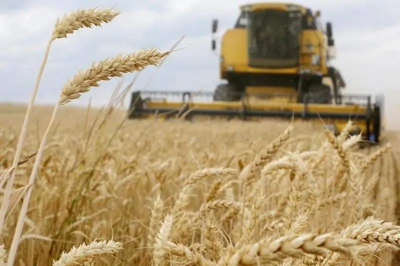 النظام يواجه انتقادات تسعيرة القمح بوعود حول "إمكانية إعادة النظر" 