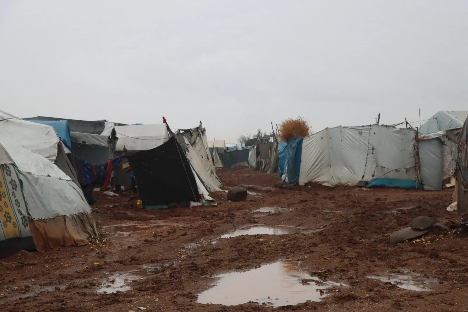 مع بداية فصل الشتاء .. الأمطار والبرد يُعمقان معاناة قاطني المخيمات شمال سوريا ولا حلول