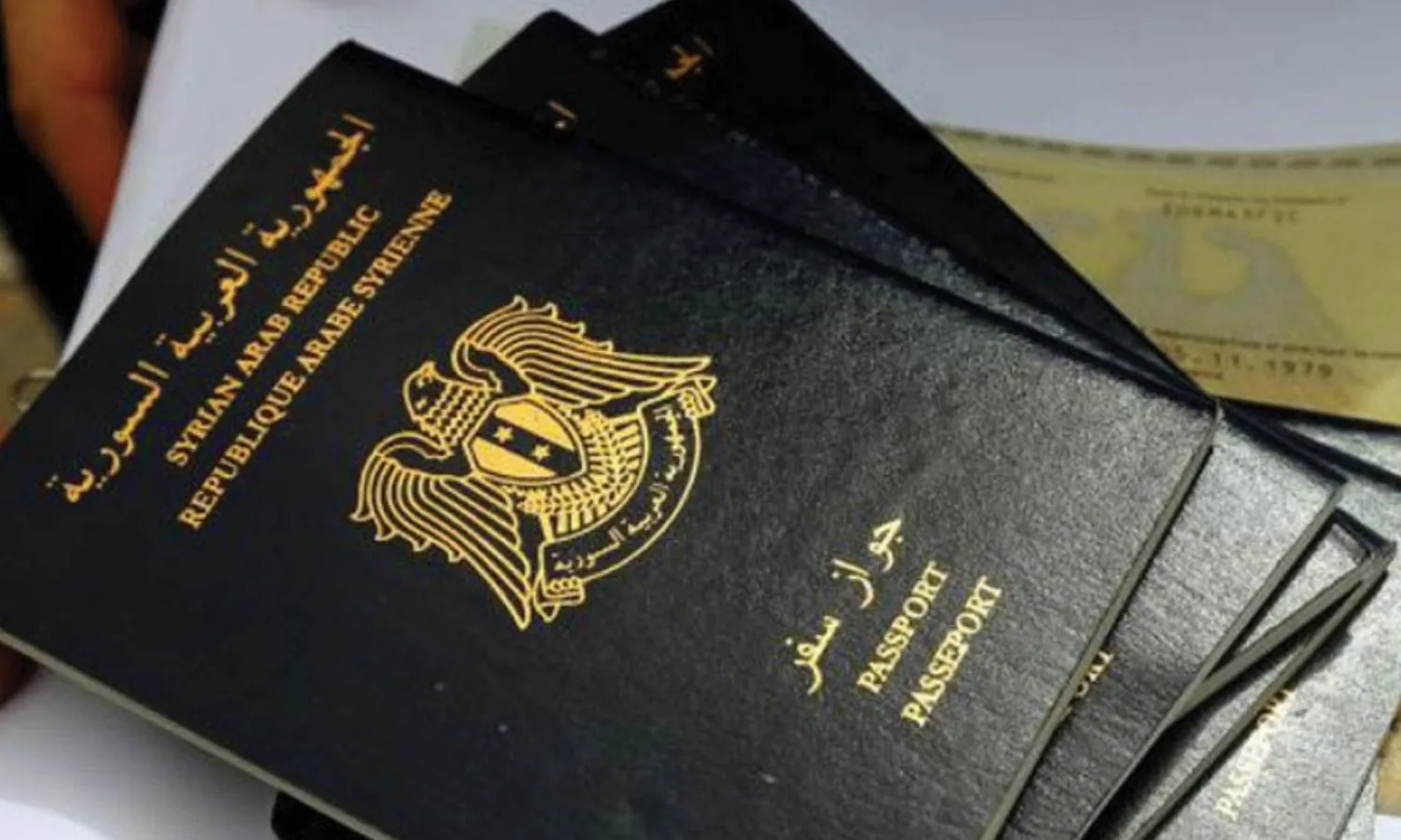 صورة جواز السفر السوري