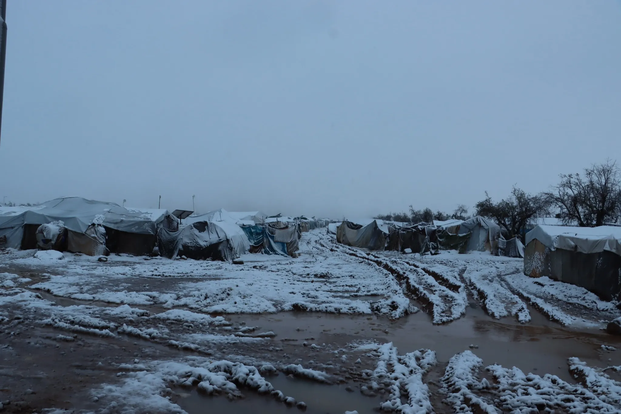 صورة لمخيمات النازحين بريف عفرين