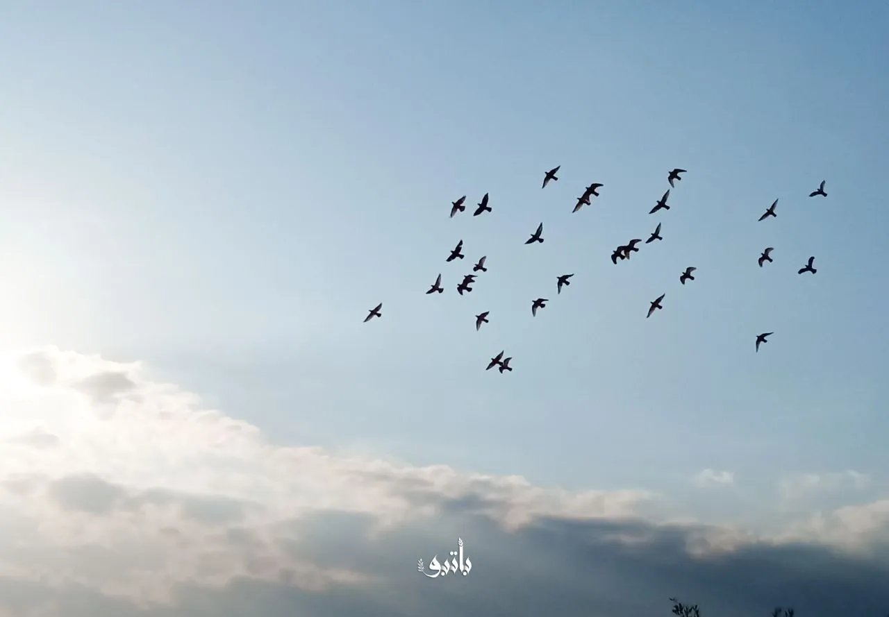 صورة من سماء بلدة باتبو بريف حلب