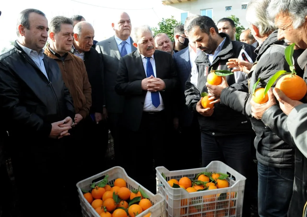 بدواعي دعم المزارعين .. النظام يعلن تصدير البرتقال إلى روسيا