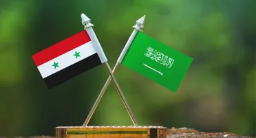 علم النظام والسعودية