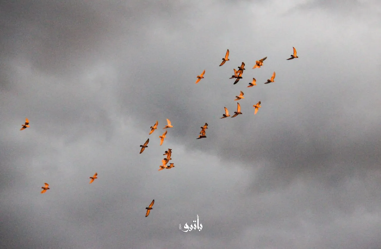 صورة من سماء بلدة باتبو بريف حلب