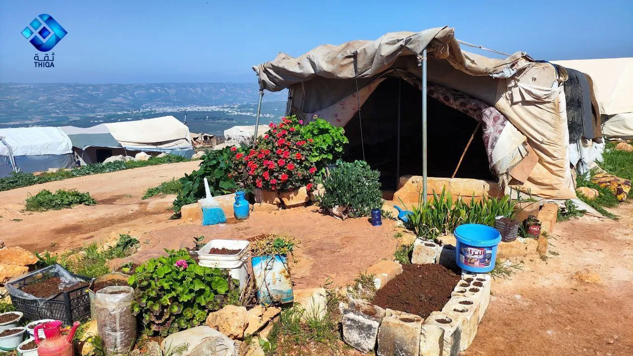 خيمة نازح في منطقة عزمارين بريف إدلب