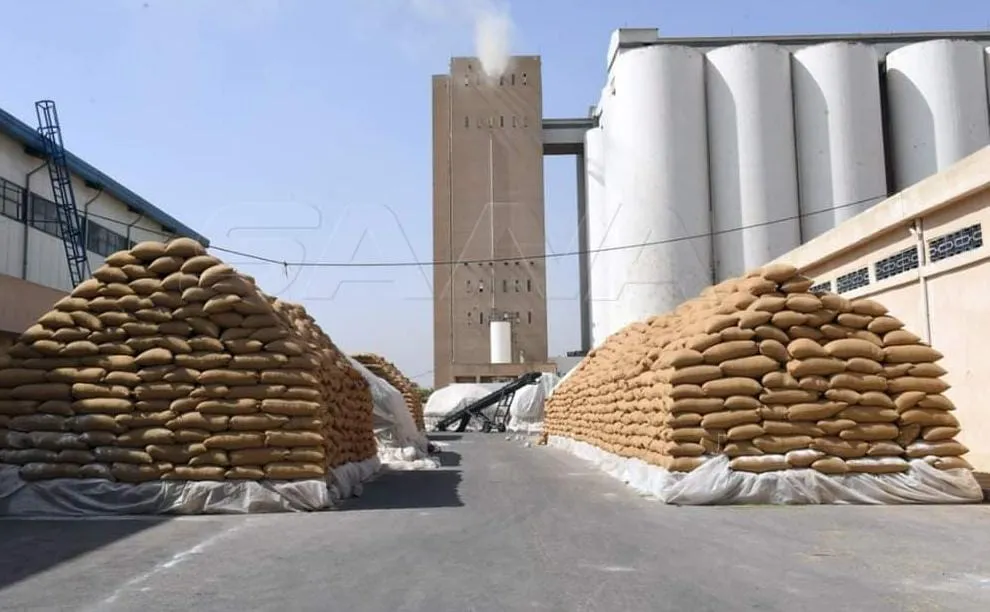 مسؤول اتحاد الفلاحين لدى النظام: محصول القمح هذا العام أكثر من ممتاز
