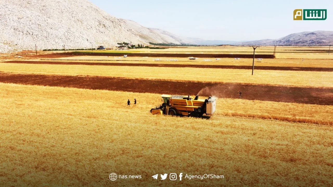 باسم "دفع الزكاة".. "الجـ ـولاني" يستنفر دوريات لملاحقة محاصيل المزارعين بإدلب 